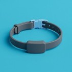 Collares antiparasitarios para gatos